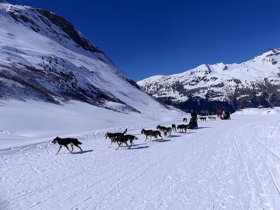 Balade en chiens de traîneau dans les Alpes (Val-Cenis, Savoie) : photo d'illustration, pas prise à l'Alpe d'Huez