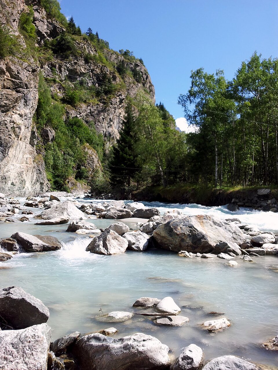 Le Vénéon à Saint-Christophe-en-Oisans (27 août 2011) : rapides et gros blocs, eau turquoise, falaise et mélèzes. 1200x1600 px, portrait, géolocalisée à quelque